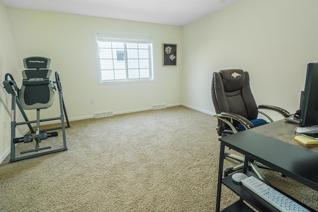 951 Lavender Way, Deforest, WI 53532 - office area featuring carpet and baseboards
