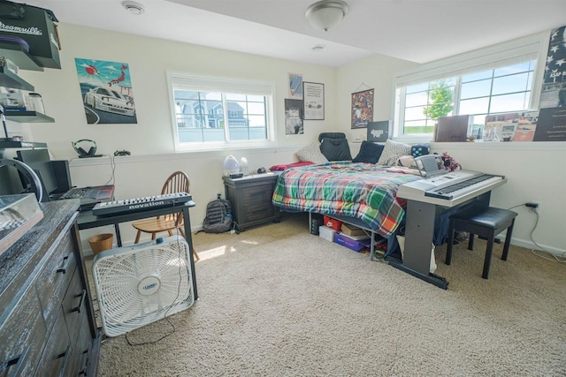 951 Lavender Way, Deforest, WI 53532 - bedroom featuring multiple windows, carpet floors, and baseboards