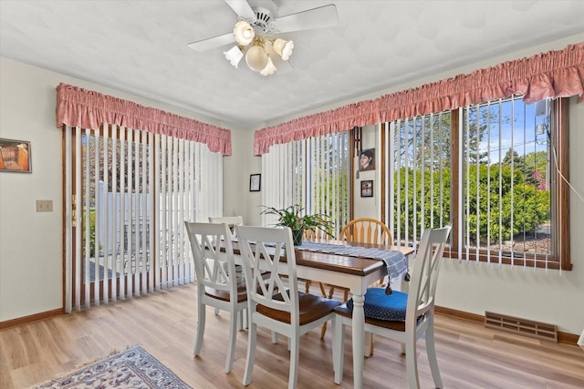 636 Westbury Ln Unit 12, Delavan, WI 53115 - dining area featuring plenty of natural light, wood finished floors, baseboards, and ceiling fan