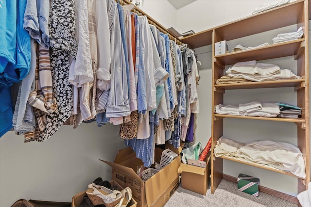 636 Westbury Ln Unit 12, Delavan, WI 53115 - walk in closet featuring carpet