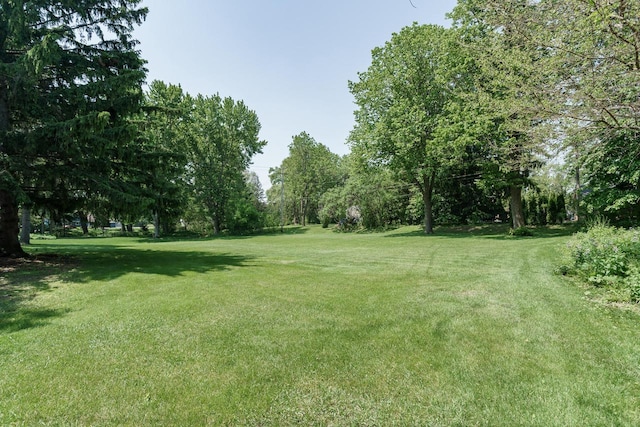 11549 N Meadowbrook Dr, Mequon, WI 53097 - view of grassy yard