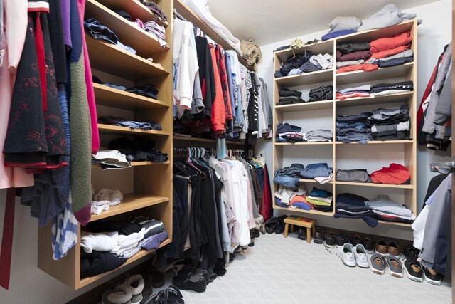 938 W Northstar Dr, Appleton, WI 54913 - walk in closet with carpet flooring