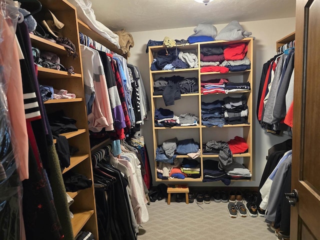 938 W Northstar Dr, Appleton, WI 54913 - walk in closet with carpet