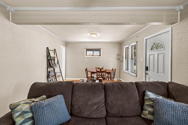1568 S 63rd St, West Allis, WI 53214 - living room with a textured wall, crown molding, and a textured ceiling