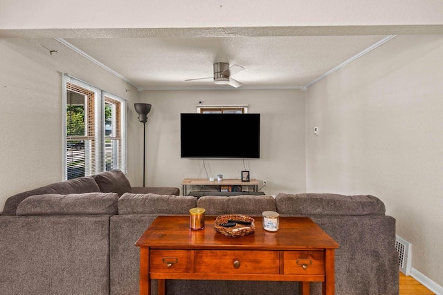 1568 S 63rd St, West Allis, WI 53214 - living room featuring crown molding, ceiling fan, light wood-type flooring, baseboards, and a textured ceiling