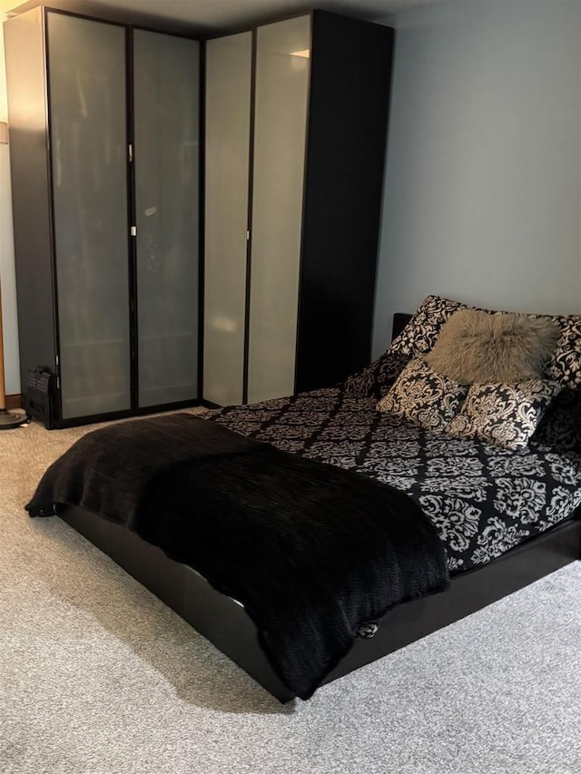 2470 W Good Hope Rd Unit 168, Glendale, WI 53209 - view of carpeted bedroom