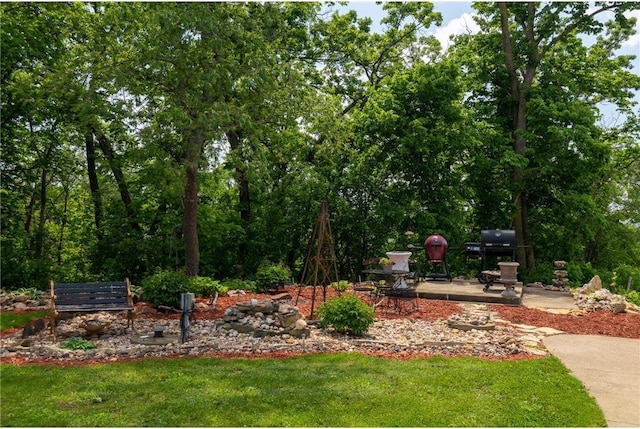W11333 862nd St, River Falls, WI 54022 - view of grassy yard with a patio