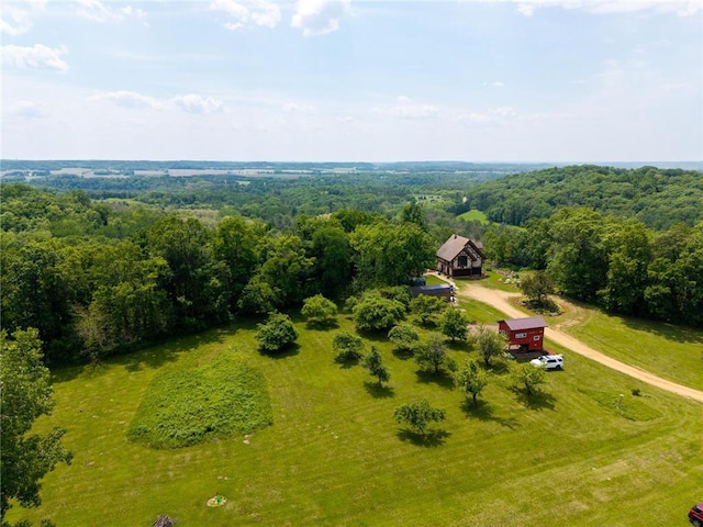 W11333 862nd St, River Falls, WI 54022 - view of subject property with a forest
