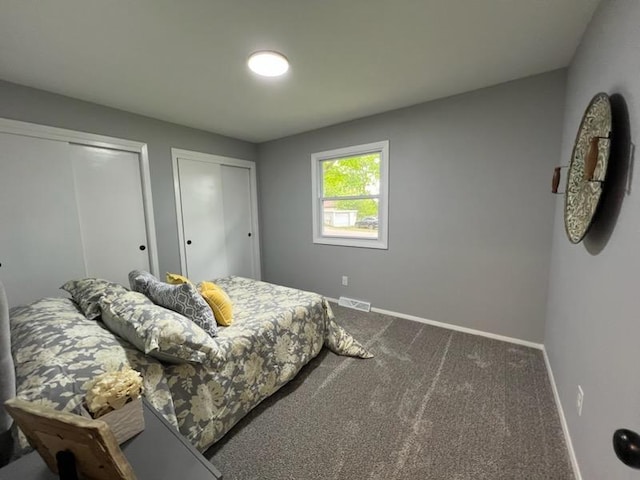 233 Inlet Shores Dr, Delavan, WI 53115 - carpeted bedroom with multiple closets and baseboards