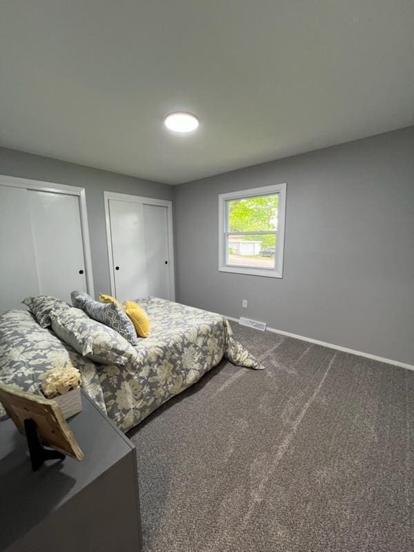 233 Inlet Shores Dr, Delavan, WI 53115 - bedroom with two closets, baseboards, and dark carpet