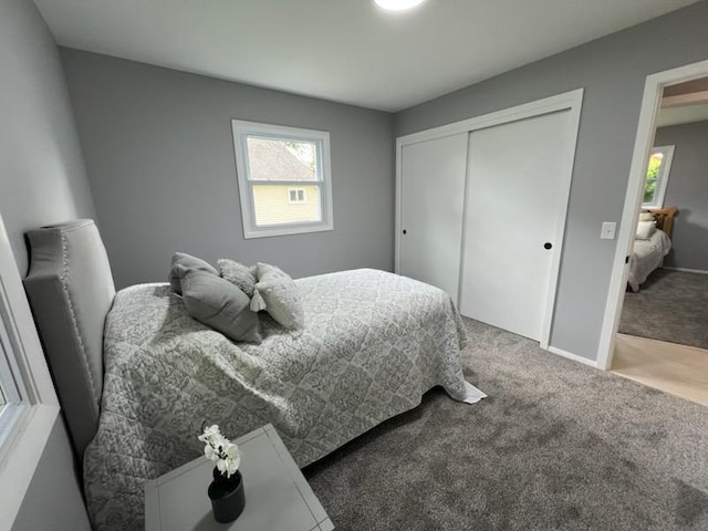 233 Inlet Shores Dr, Delavan, WI 53115 - bedroom featuring multiple windows, a closet, carpet floors, and baseboards