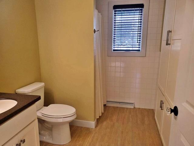9350 County Road F, Milladore, WI 54454 - bathroom with vanity, toilet, wood finished floors, a shower with shower curtain, and baseboard heating