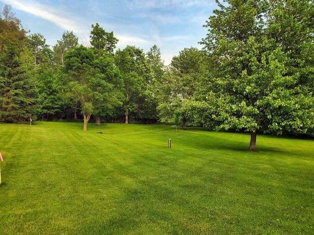 9350 County Road F, Milladore, WI 54454 - view of grassy yard