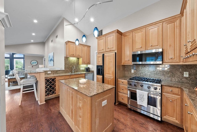 102 Abbey Ridge Ct Unit 102, Fontana, WI 53125 - kitchen featuring stainless steel appliances, light stone counters, dark wood-style flooring, a sink, and high vaulted ceiling