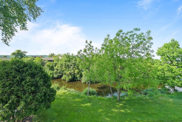 102 Abbey Ridge Ct Unit 102, Fontana, WI 53125 - view of grassy yard with a water view