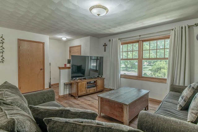 119 N 12th Ave, Monroe, WI 53566 - living area featuring light wood finished floors