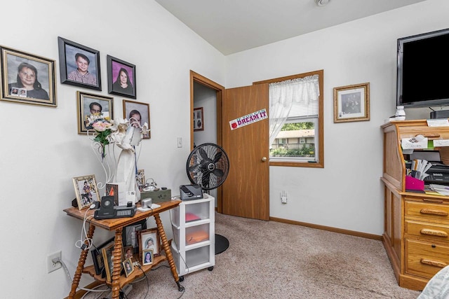 1390 21st St, Hazel Green, WI 53811 - carpeted office with baseboards