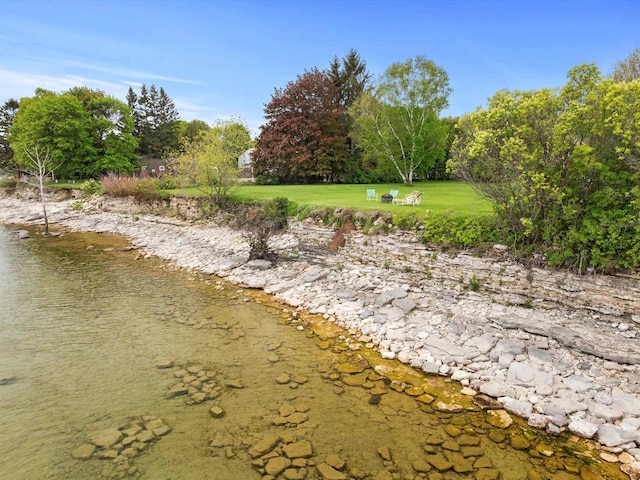 8090 State Highway 57, Baileys Harbor, WI 54202 - water view featuring a tree filled landscape