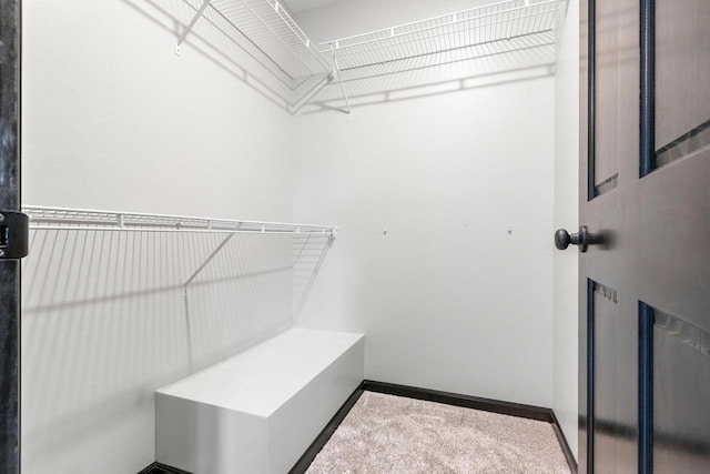 831 Setter Dr, Kaukauna, WI 54130 - spacious closet featuring carpet flooring