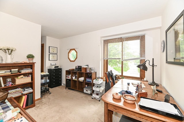 2016 Madera St Unit 2018, Waukesha, WI 53189 - office space featuring light colored carpet and healthy amount of natural light