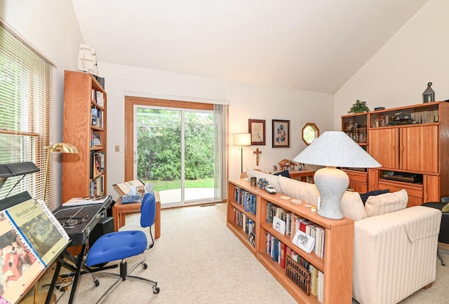 2016 Madera St Unit 2018, Waukesha, WI 53189 - home office featuring lofted ceiling and carpet
