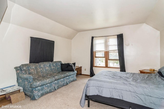 314 E Maple Ave, Beaver Dam, WI 53916 - bedroom featuring carpet floors and lofted ceiling