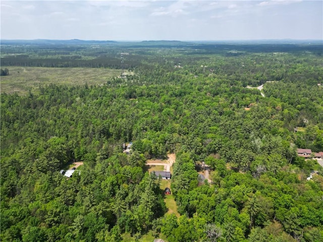 N211 County Road J, Hatfield, WI 54754 - drone / aerial view of a forest
