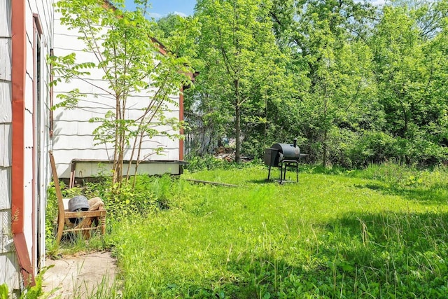 106 S Richmond Ave, Gillett, WI 54124 - view of yard