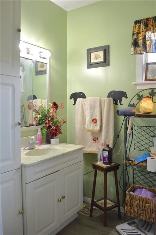 4878N Fur Farm Trl, Winter, WI 54896 - bathroom with vanity and wood finished floors