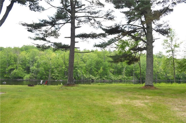 4878N Fur Farm Trl, Winter, WI 54896 - view of green lawn with a view of trees and a water view