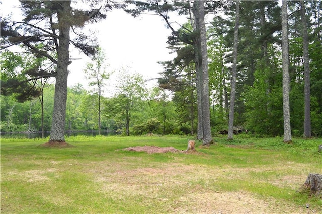 4878N Fur Farm Trl, Winter, WI 54896 - view of yard