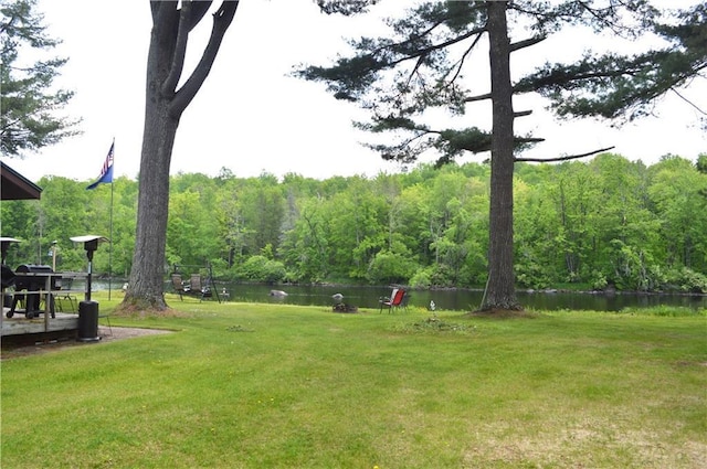 4878N Fur Farm Trl, Winter, WI 54896 - view of grassy yard featuring a wooded view and a water view