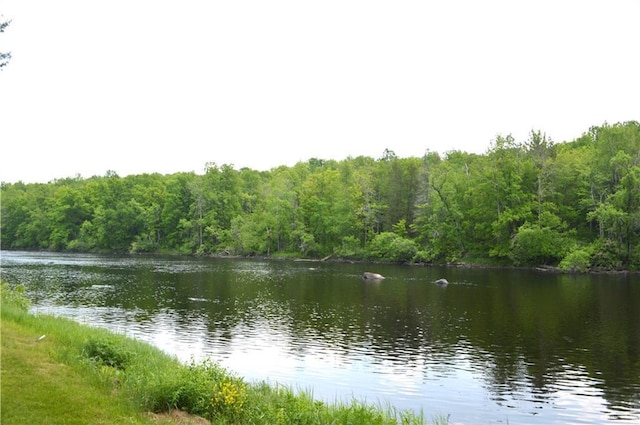 4878N Fur Farm Trl, Winter, WI 54896 - water view with a forest