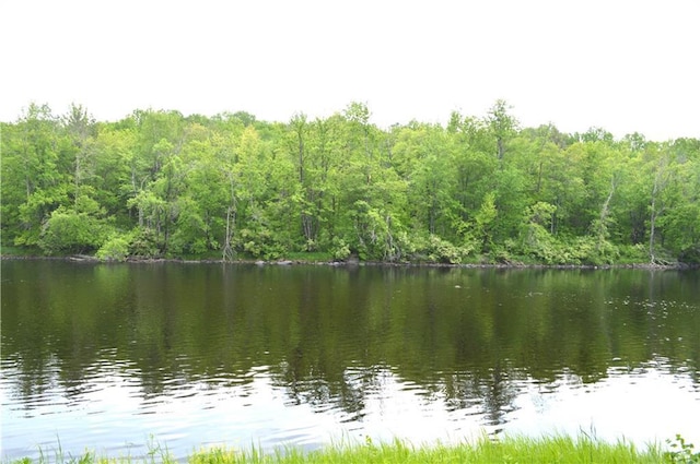 4878N Fur Farm Trl, Winter, WI 54896 - water view with a forest