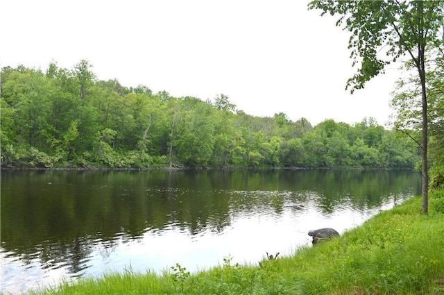 4878N Fur Farm Trl, Winter, WI 54896 - water view with a forest
