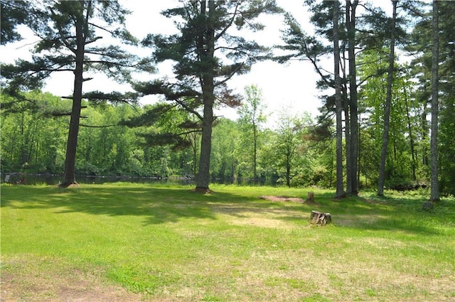 4878N Fur Farm Trl, Winter, WI 54896 - view of green lawn