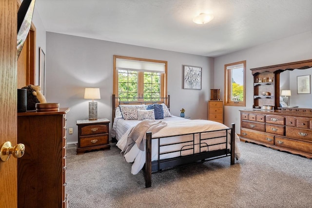 2592 Radinz Rd, Green Bay, WI 54311 - bedroom featuring carpet and multiple windows