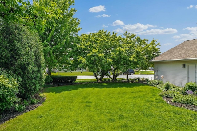 2592 Radinz Rd, Green Bay, WI 54311 - view of grassy yard