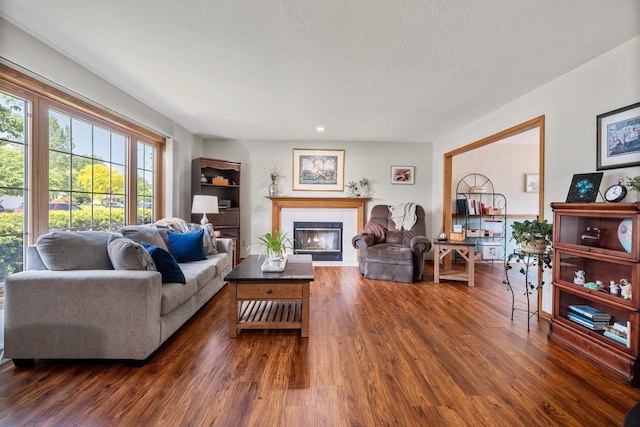 2592 Radinz Rd, Green Bay, WI 54311 - living room featuring dark wood-style flooring, a fireplace with flush hearth, and recessed lighting