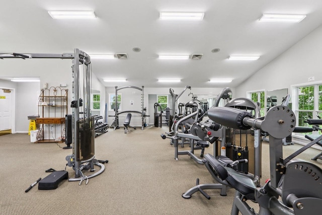 809 Harbor House Dr Unit 4, Madison, WI 53719 - gym with carpet