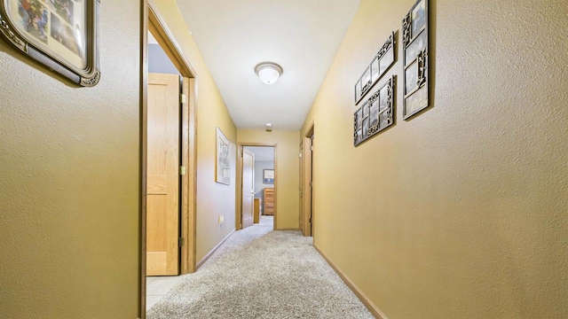 N6464 Canterbury Dr, Fond Du Lac, WI 54937 - hall with light carpet
