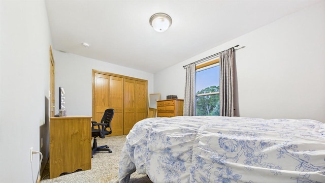 N6464 Canterbury Dr, Fond Du Lac, WI 54937 - bedroom with carpet floors and a closet