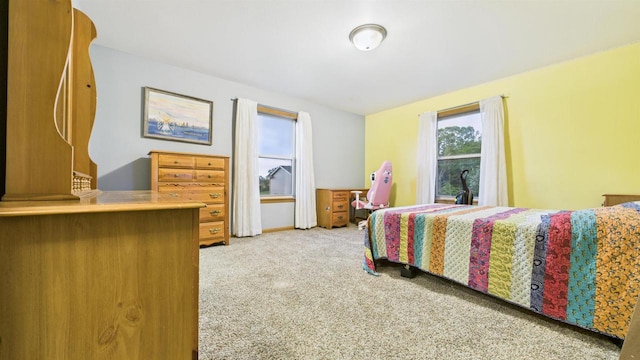 N6464 Canterbury Dr, Fond Du Lac, WI 54937 - bedroom with carpet flooring
