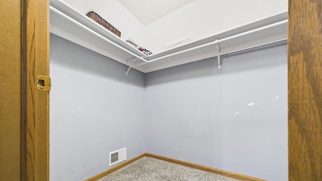 N6464 Canterbury Dr, Fond Du Lac, WI 54937 - walk in closet with carpet