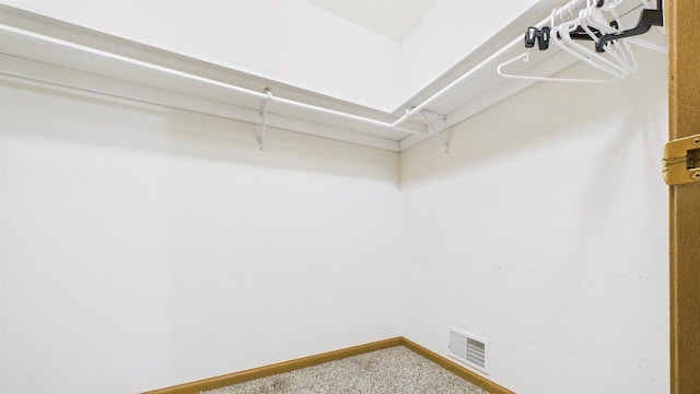 N6464 Canterbury Dr, Fond Du Lac, WI 54937 - walk in closet featuring carpet floors