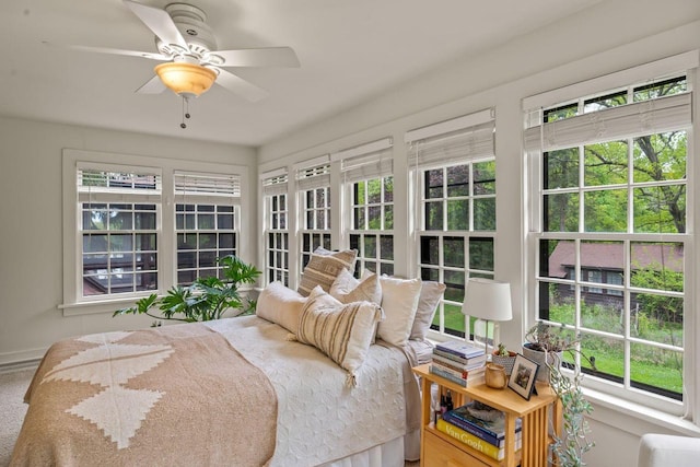 2937 N Mill Rd, Oconomowoc, WI 53066 - bedroom with multiple windows, ceiling fan, and baseboards