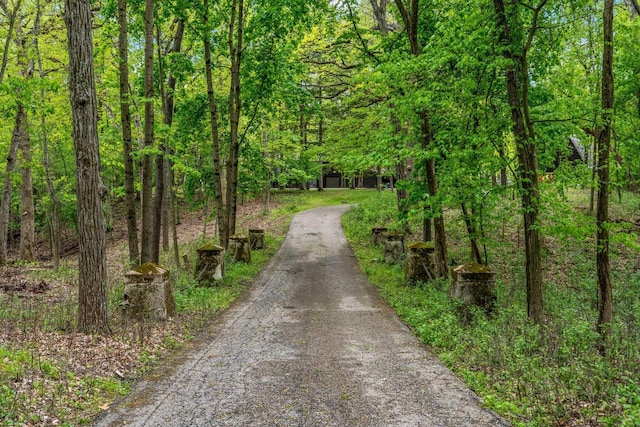 2937 N Mill Rd, Oconomowoc, WI 53066 - view of dirt / gravel driveway with a view of trees