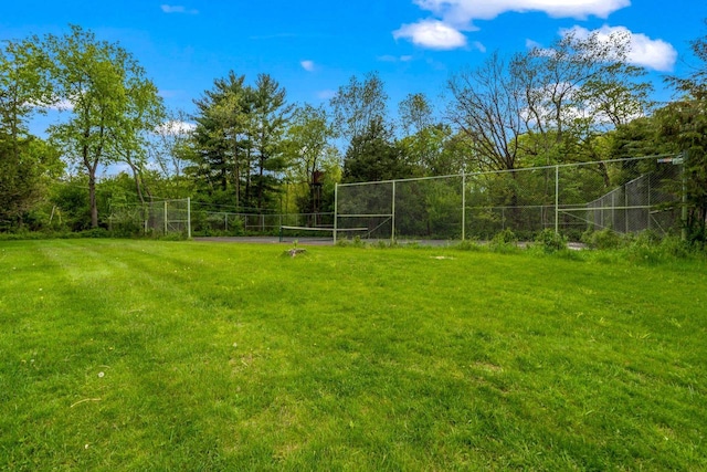 2937 N Mill Rd, Oconomowoc, WI 53066 - view of yard