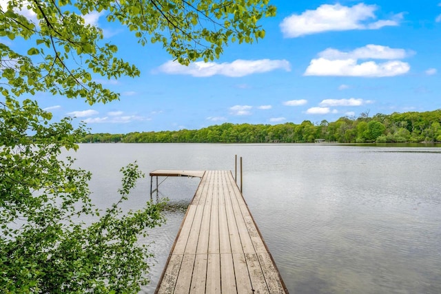 2937 N Mill Rd, Oconomowoc, WI 53066 - dock with a water view and a view of trees