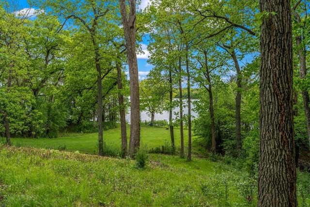 2937 N Mill Rd, Oconomowoc, WI 53066 - view of local wilderness